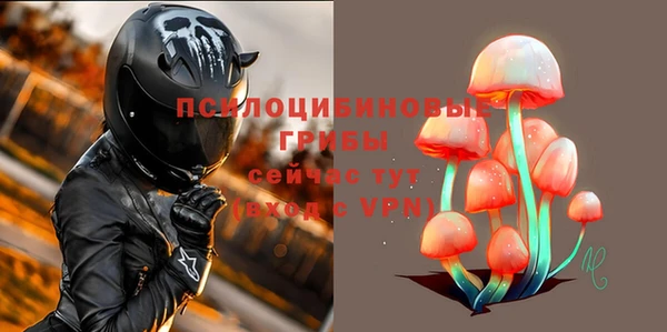 дмт Елизово