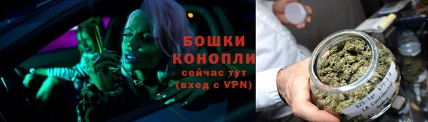 бошки Елабуга