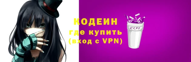 дмт Елизово