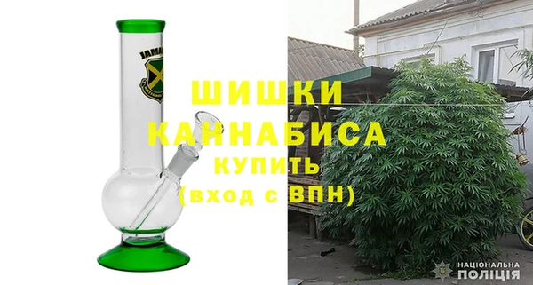 дмт Елизово
