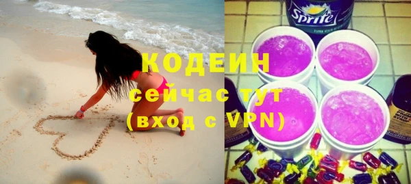 дмт Елизово